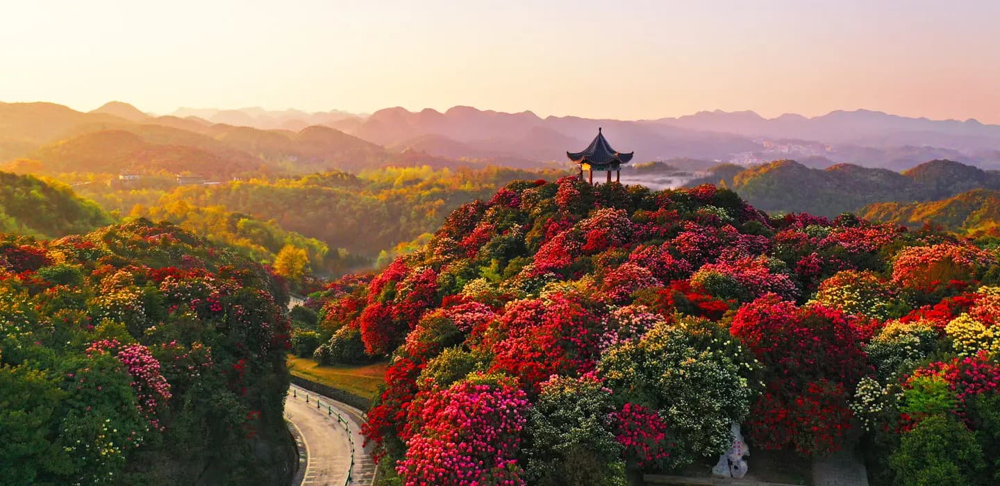 【貴州】百里杜鵑花開・雙世遺黃果樹瀑布・荔波大小七孔・織金洞|文化考察交流團、無購物